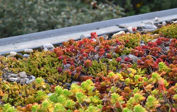 the cost of Trevarrian green roof installation