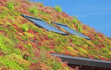 Trevarrian living roof systems
